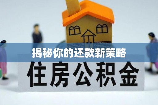 广阳揭秘你的还款新策略