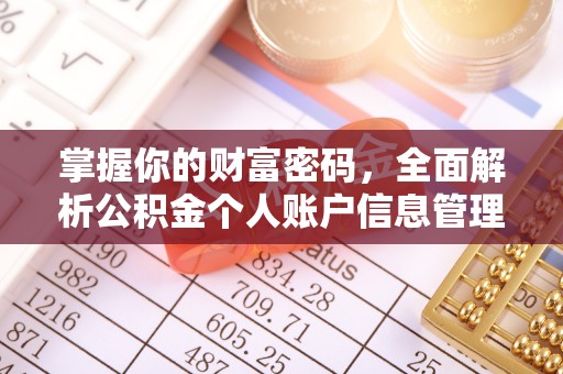 广阳掌握你的财富密码，全面解析公积金个人账户信息管理