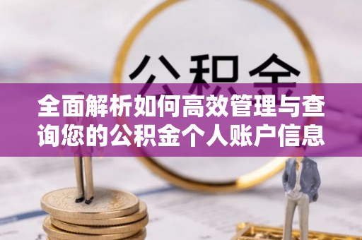 广阳全面解析如何高效管理与查询您的公积金个人账户信息